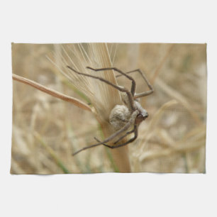 Spider and Egg Sac Kitchen Towel