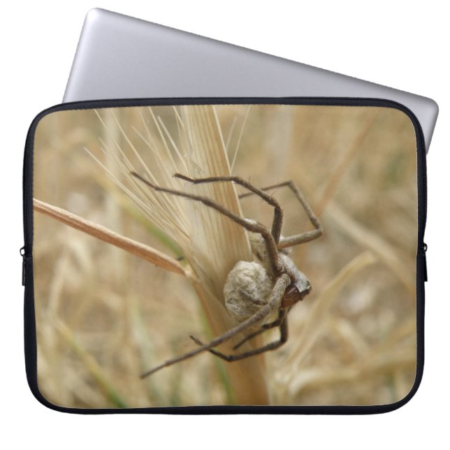 Spider and Egg Sac Laptop Bag (Front)