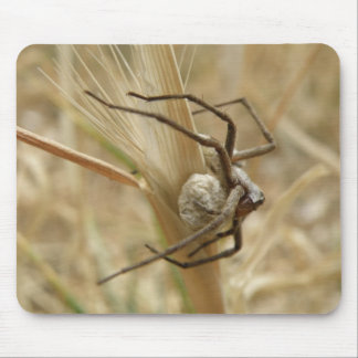 Spider and Egg Sac Mousepad