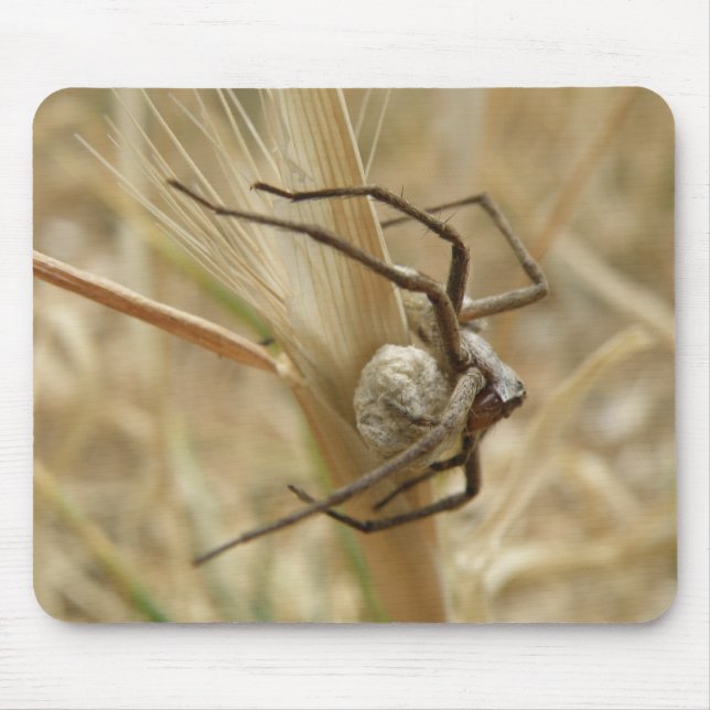 Spider and Egg Sac Mousepad (Front)