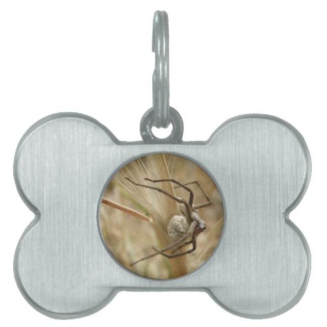 Spider and Egg Sac Pet Tag (Front)