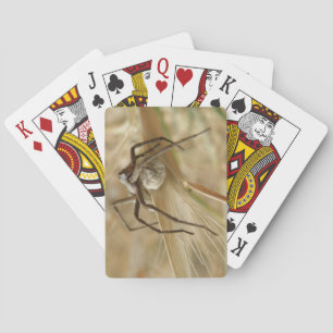 Spider and Egg Sac Playing Cards