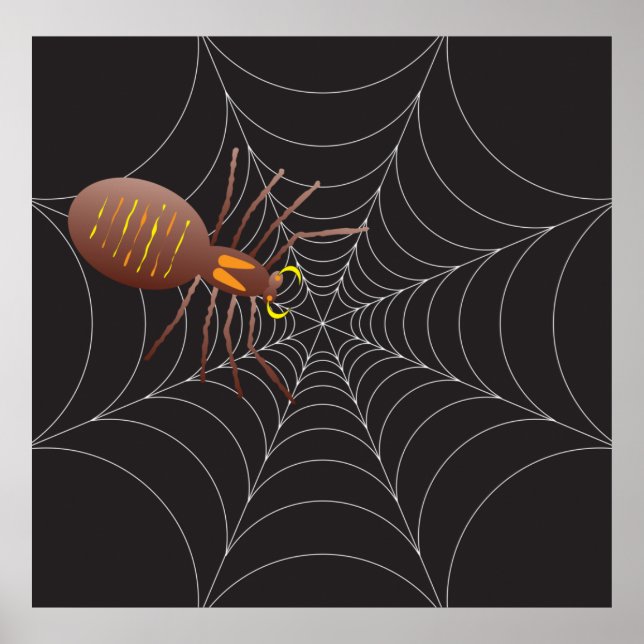 Spider And Spider Web Poster (Front)