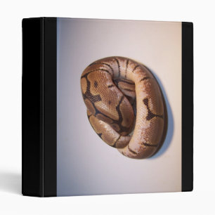 Spider Ball Python Binder