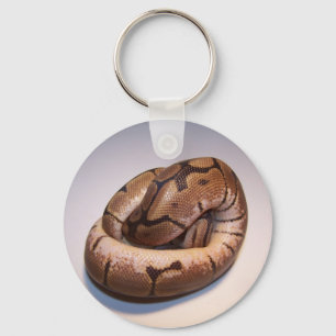 Spider Ball Python Keychain