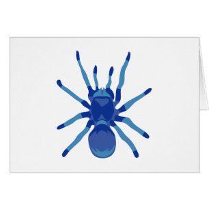 Spider (Blue)