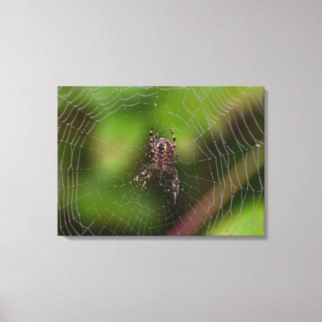 Spider Canvas Print (Front)