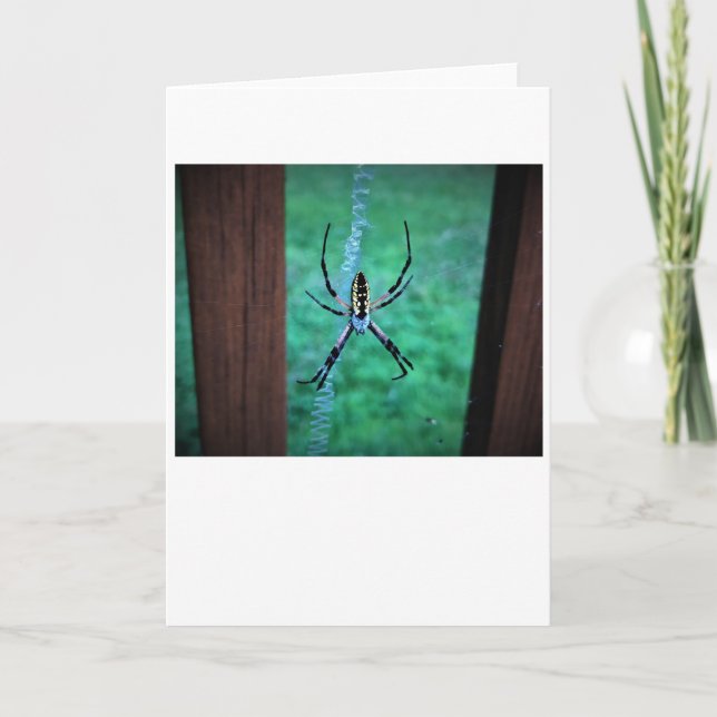 Spider, card (Front)