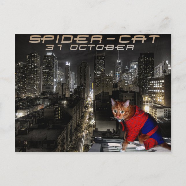 spider-cat postcard (Front)