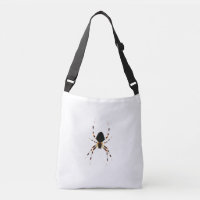 Spider cbbcna