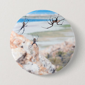 Spider City - Hangin Around 3 Inch Round Button