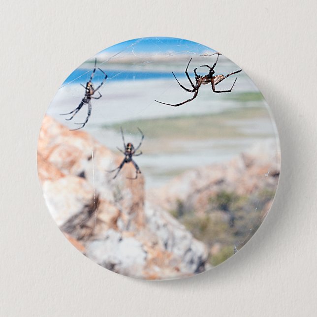 Spider City - Hangin Around 3 Inch Round Button (Front)