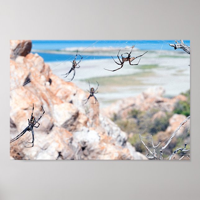 Spider City - Hangin Around Poster (Front)