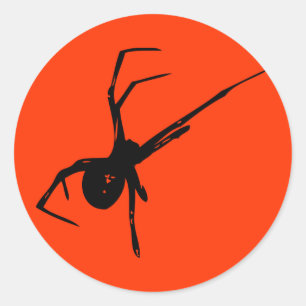 Spider Classic Round Sticker