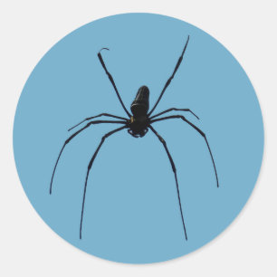 Spider Classic Round Sticker, Glossy Sticker