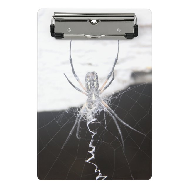 Spider Clip Board (Front)