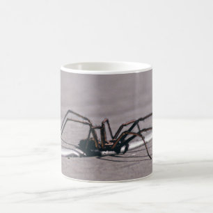 Spider coffee mug