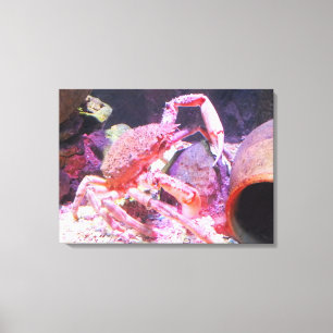 Spider crab canvas print