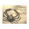 Spider Crab Illustrated Custom All Occasion