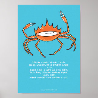 Spider crab, spider crab A4 poster