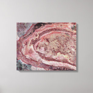 Spider Crater, Western Australia Canvas Print