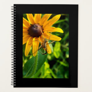 Spider Creeping on a Sunflower Spiral Planner