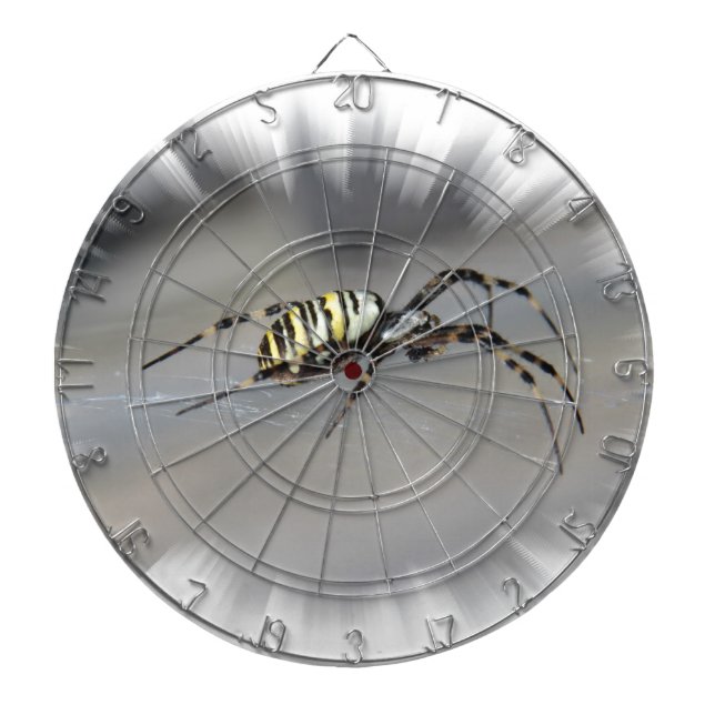 Spider Dartboard (Front)