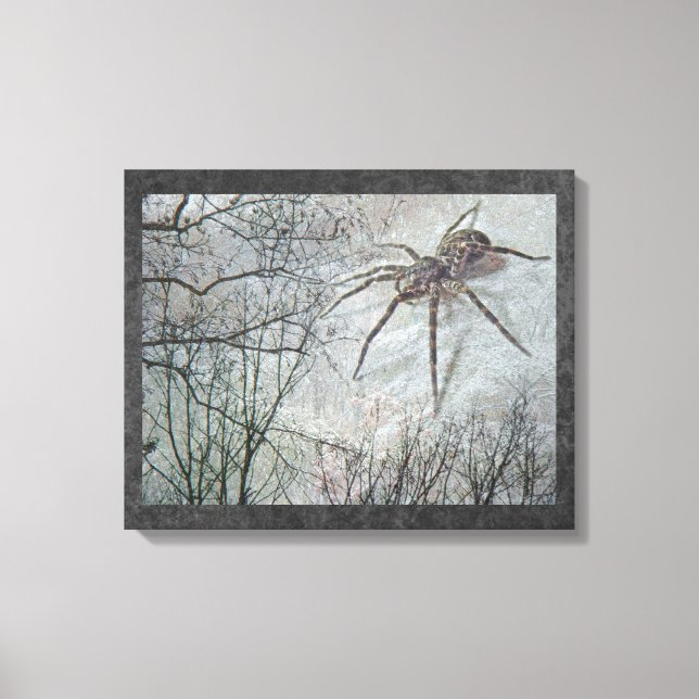 Spider Descending Canvas Print (Front)