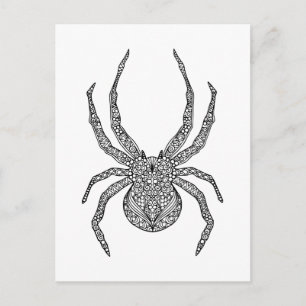Spider Doodle Postcard