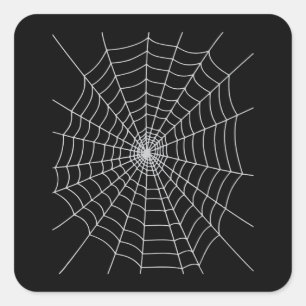 Spider Gift   Huge Spider Gift Lover Square Sticker