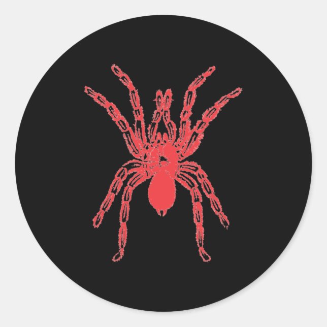Spider Graphic Design Classic Round Sticker (Front)