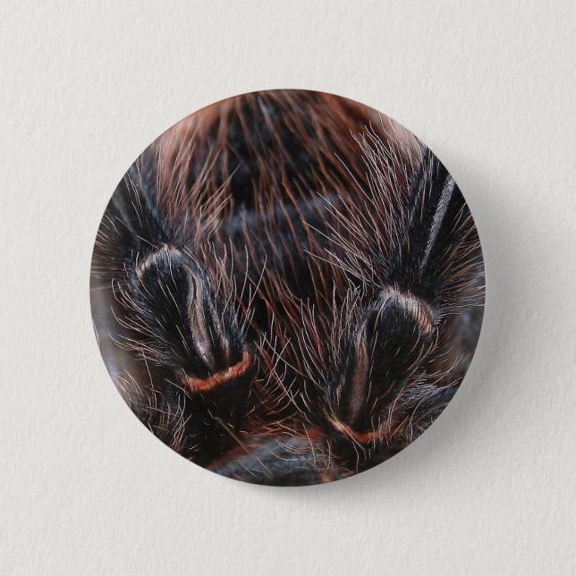 spider hair 2 inch round button (Front)