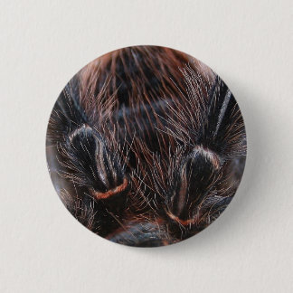 spider hair 2 inch round button
