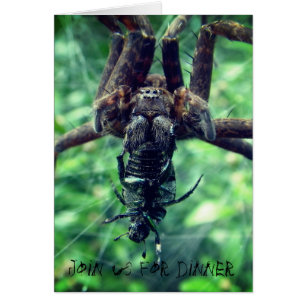 Spider Halloween Dinner Invitation