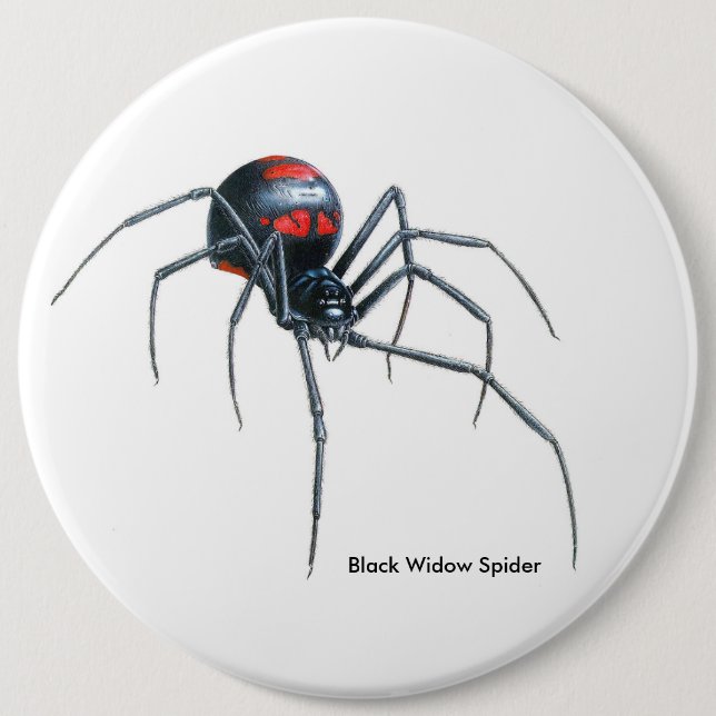 Spider image for Colossal-Round-Badge 6 Inch Round Button (Front)