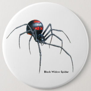 Spider image for Colossal-Round-Badge 6 Inch Round Button