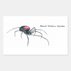 Spider image for Rectangle-Stickers-Glossy Sticker