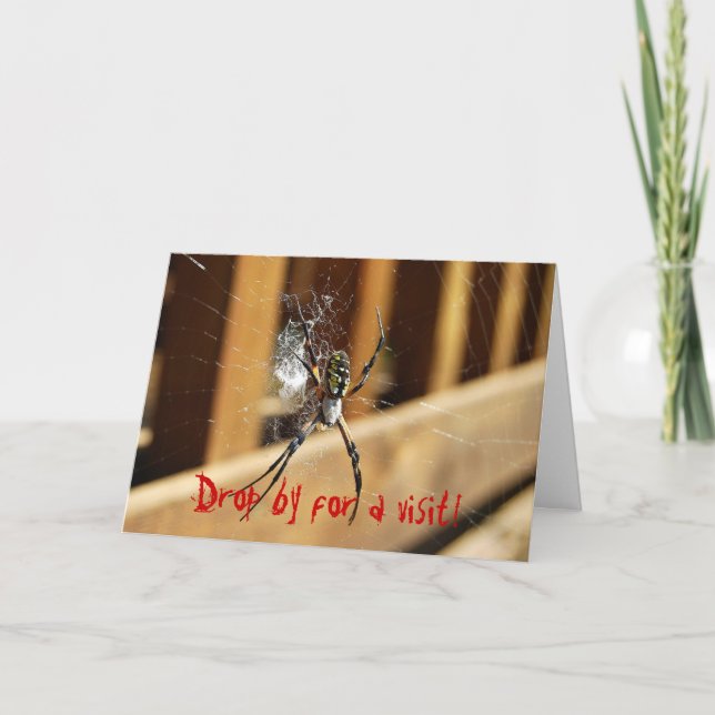 Spider in its Web -- Drop by for a visit! Card (Front)