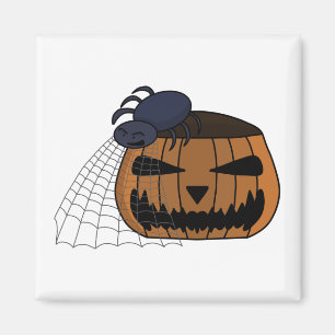 Spider in the web in the halloween pumpkin magnet