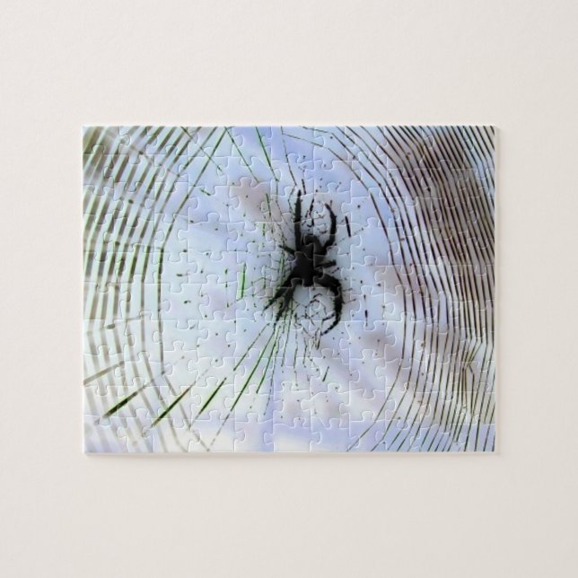 Spider in Web Jigsaw Puzzle (Horizontal)