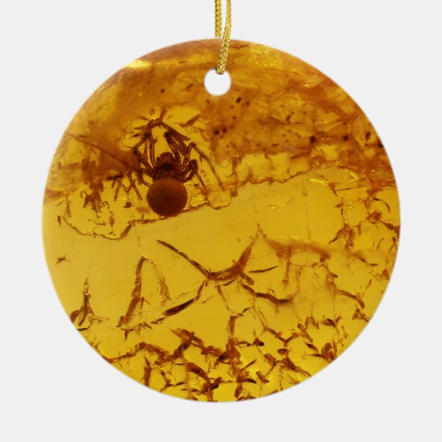 Spider inside amber ceramic ornament (Front)