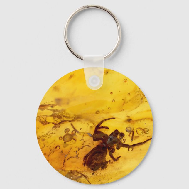 Spider inside baltic amber stone keychain (Front)