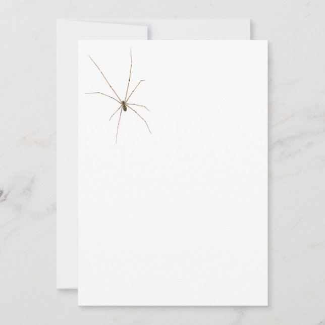 Spider Invitation (Front)