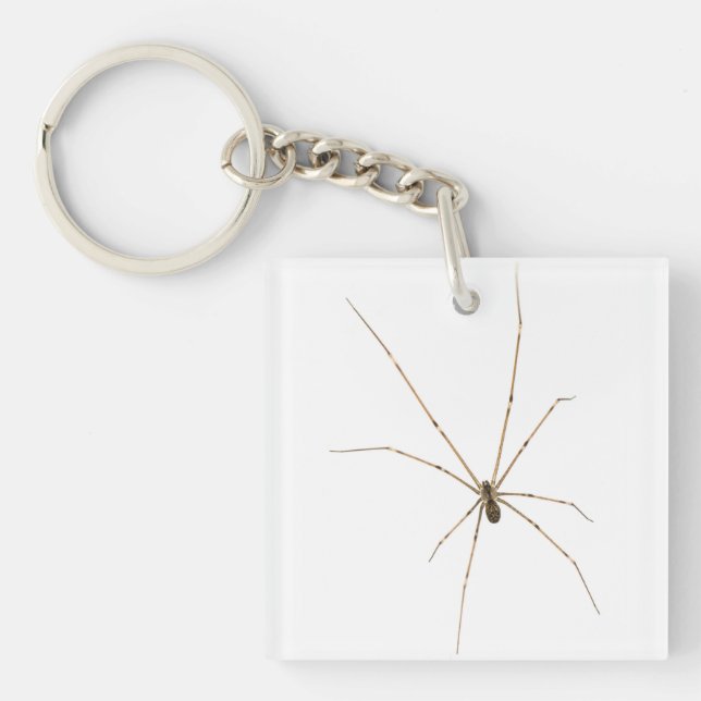 Spider Keychain (Front)