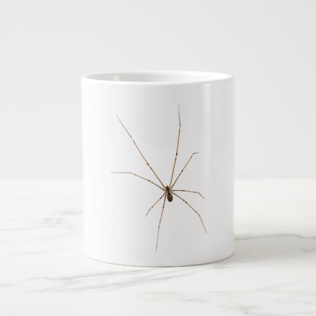 Spider Large Coffee Mug (Front)