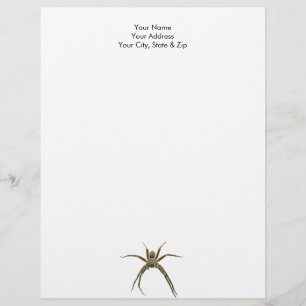Spider Letterhead