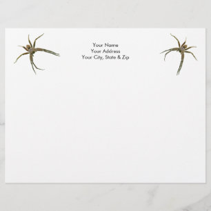 Spider Letterhead