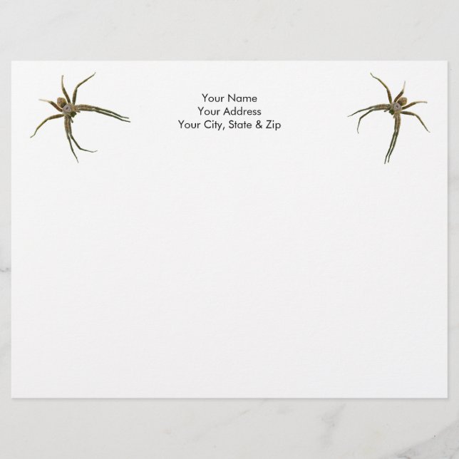 Spider Letterhead (Front)