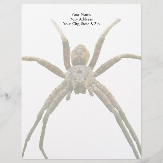 Spider Letterhead (Front)