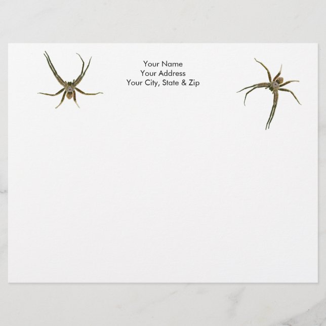 Spider Letterhead (Front)